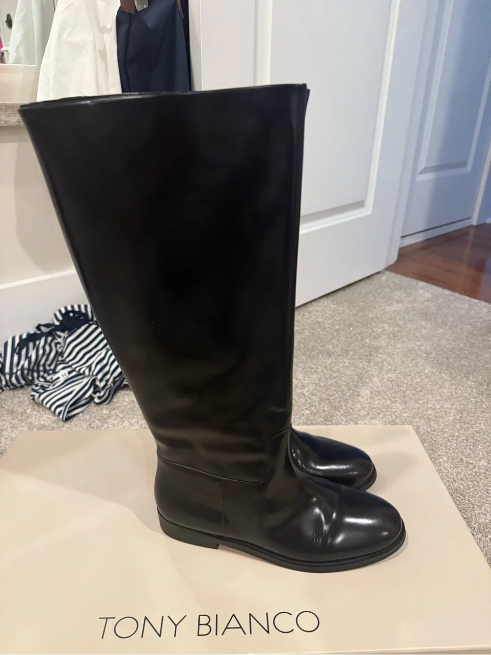 Tony Bianco Hi Gloss Grange Riding Boots